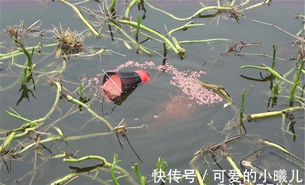 饵料|冬钓打窝别将就!只需多用4招,方圆20米的鲫鱼,全都排队进窝!