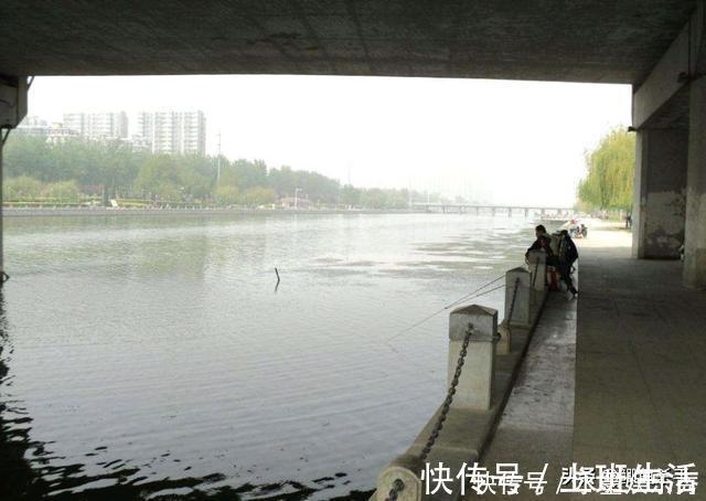 水域|别再抢老钓位了,“秋老虎”鱼儿都藏在这,选这垂钓事半功倍