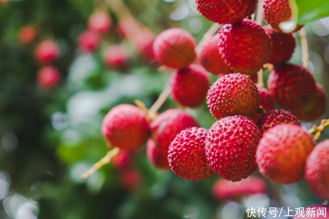 小暑|今日小暑：竹深树密虫鸣处 时有微凉不是风