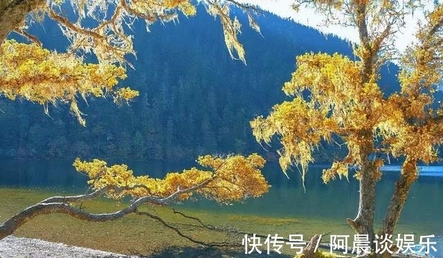 尼玛堆|「伍须海」秋天，这里美得似天堂