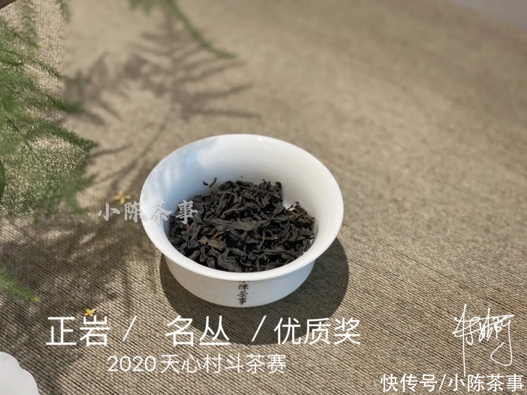  岩茶|一口气喝到正岩茶村的名丛金、银、优质获奖茶，是什么样的体验？