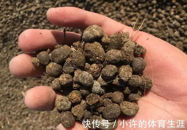 难怪你养不好花,身边宝贝都被你忽视了,看看如何使用吧