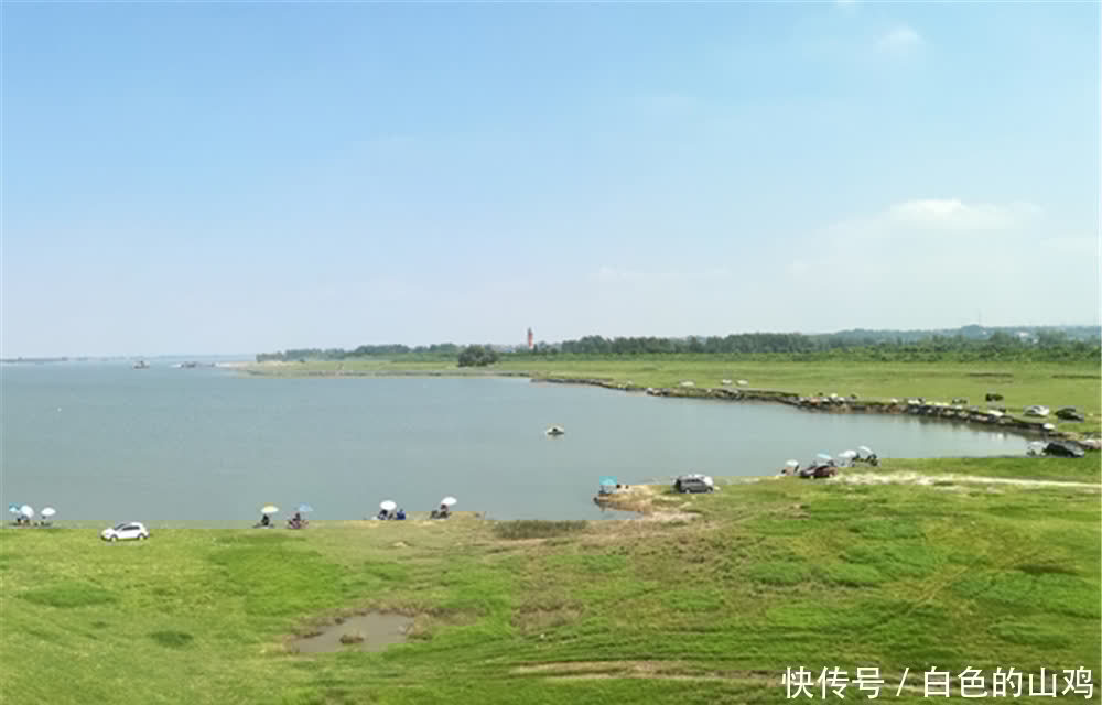 地形|夏季钓翘嘴，钓位的选择技巧，翘嘴的大小不同，喜欢的地形有差异