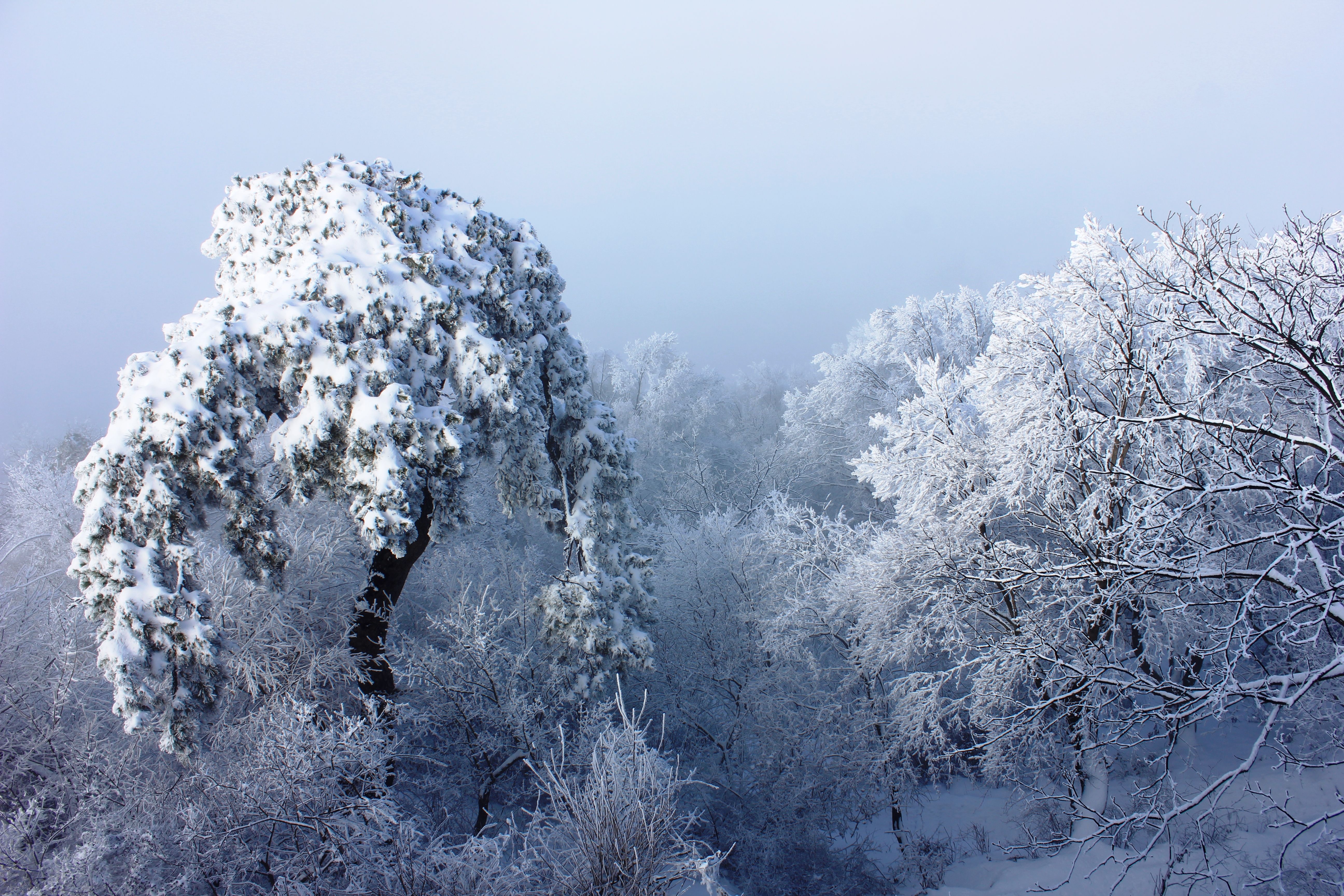 征集|【年末福利征集】雪后南五台幸遇云海