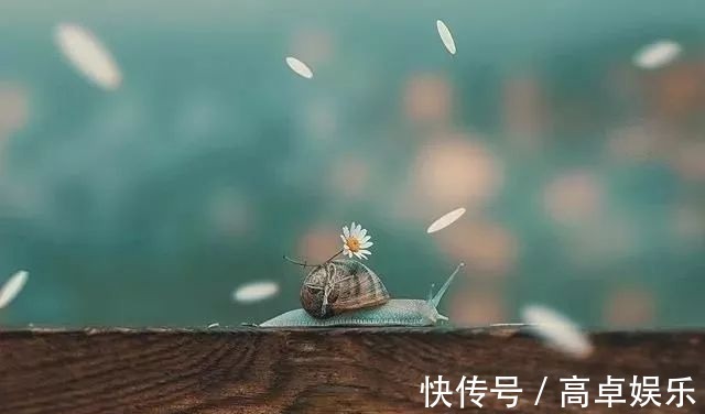 天半子$人间一切事,上天早注定:人再“争”,也争不过天