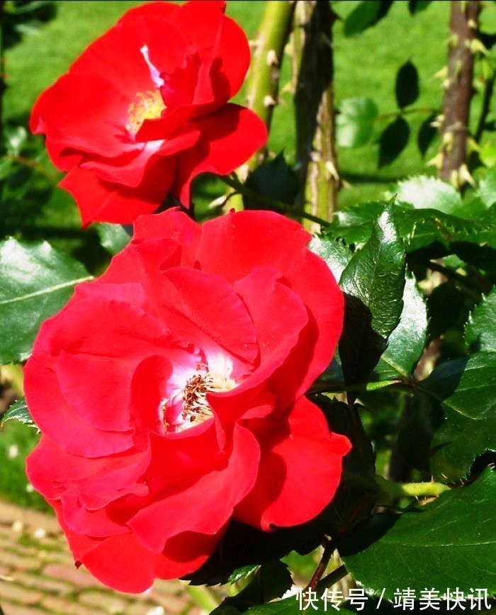 春光灿烂$很有意境的句子,生活是个万花筒,酸甜苦辣尽藏其中