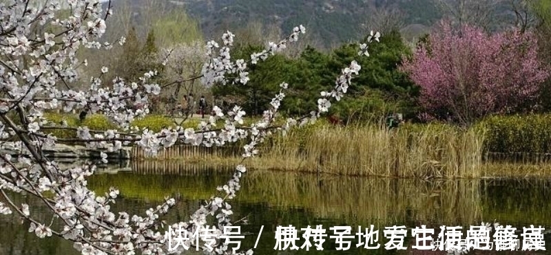 唯美!范成大最经典的一首六言绝句,同样也被低估了,通篇美得令人心醉