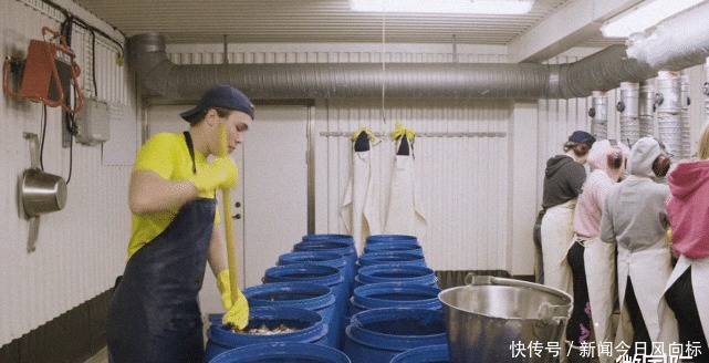 工厂|全球最臭的工厂,臭到狗都没法进去直接呕吐,却有很多人爱吃