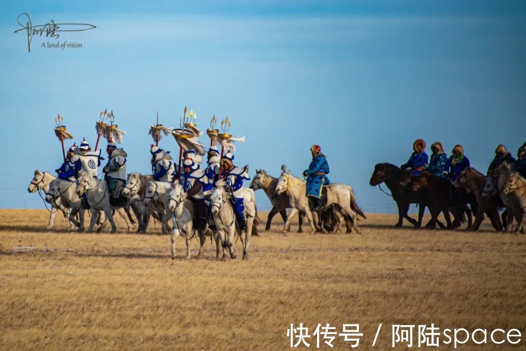 成吉思汗|西乌珠穆沁旗的白马个子不高，块头也不大，却是马群中的贵族