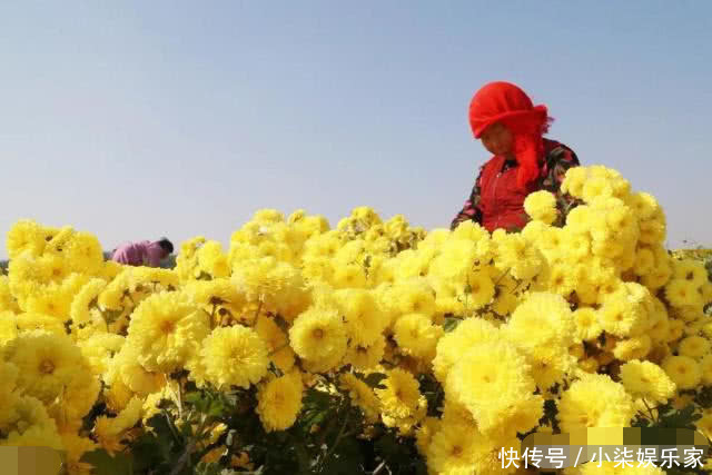 肝不好的人,少碰3物,多喝1水,不出1月,肝炎消失,肝“软”了
