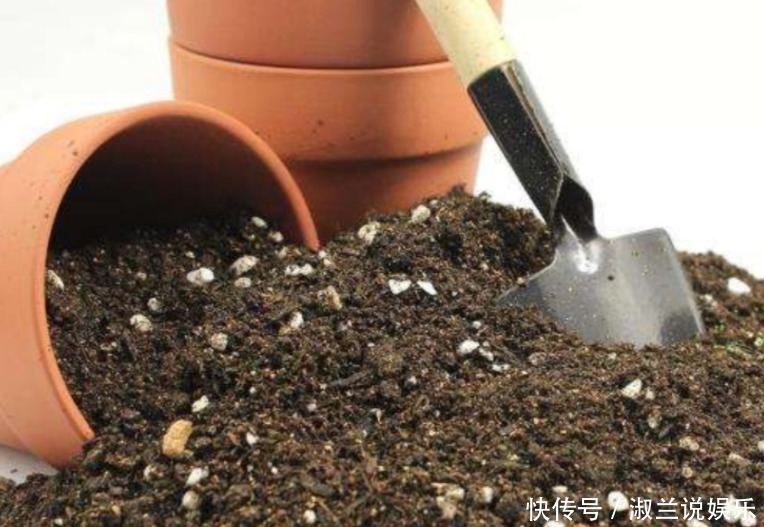 小花|养花不能用的3种土、4种水,不利于花卉生长,啥花都养不久