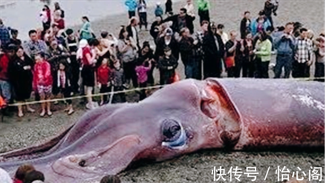 8条有趣的世界冷知识，你知道多少呢？