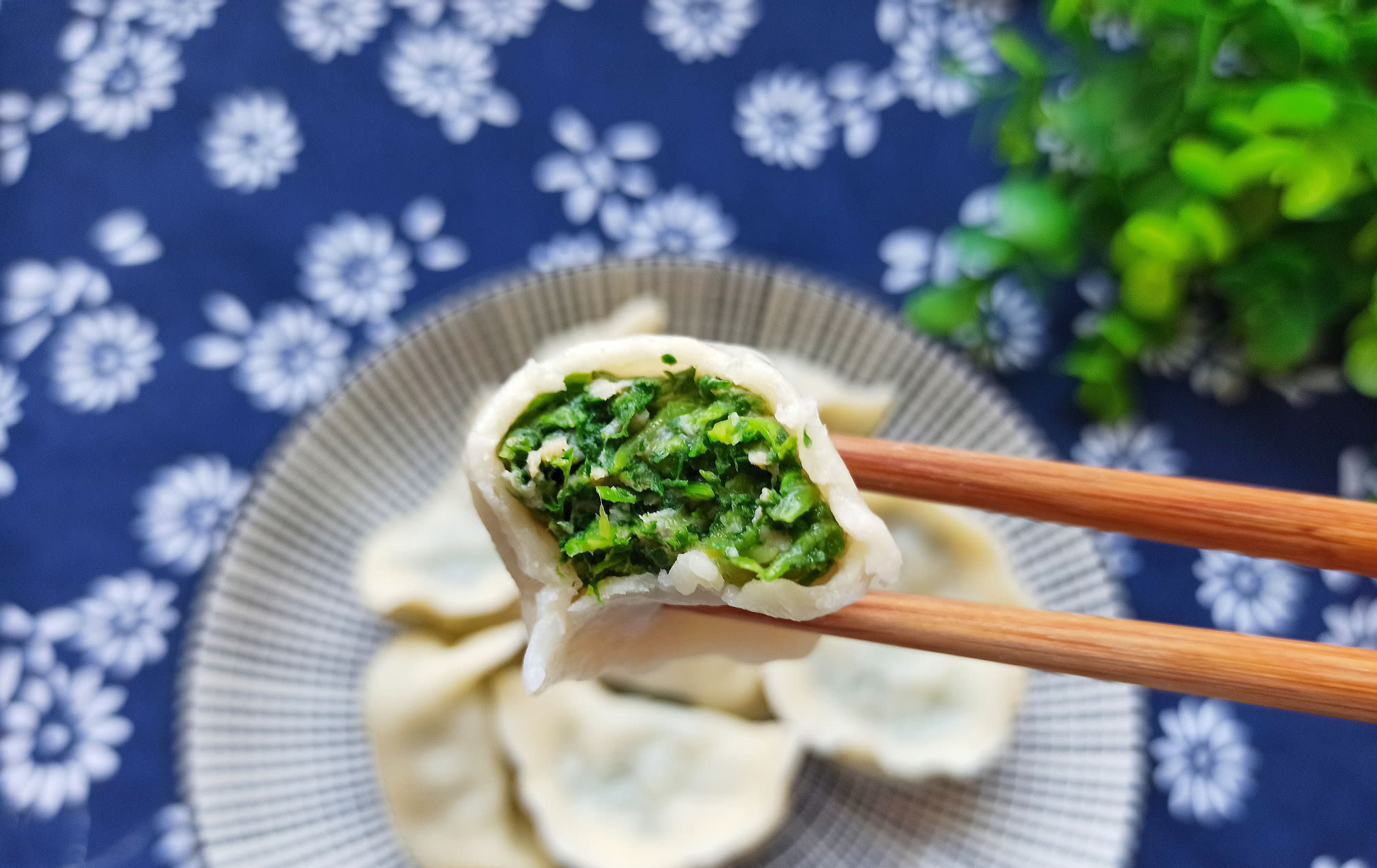  麦蒿|春天的野菜我只认它，做成饺子馅真香，鲜嫩多汁，城里人很少吃过