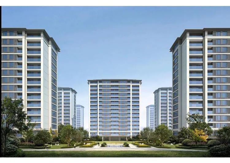 宅基地|投标!选位!义乌这个村有机更新…