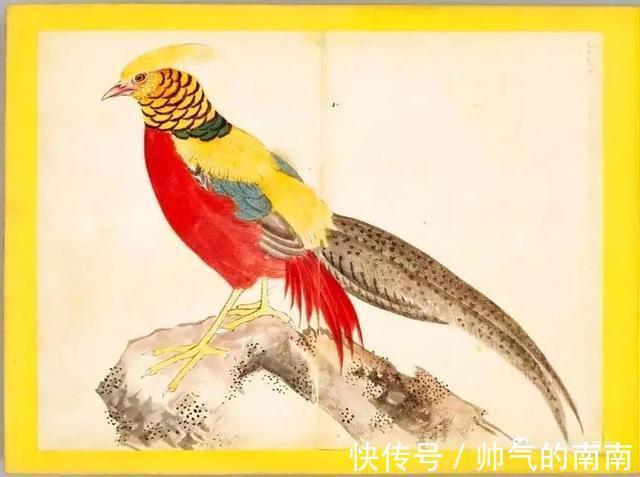 画谱!《百花鸟图》选页欣赏