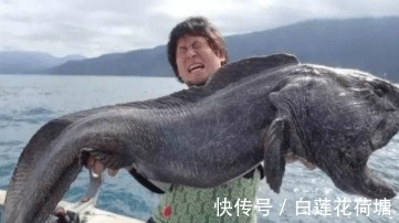 |搞笑趣图:你这精神我真的很敬佩,一个人都没有