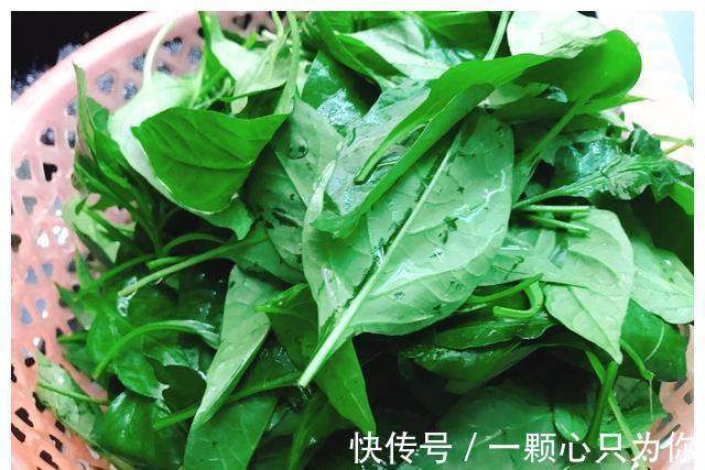 种植|农村8种含钙量高的蔬菜,多种多吃能补钙,营养价值高,记得收藏