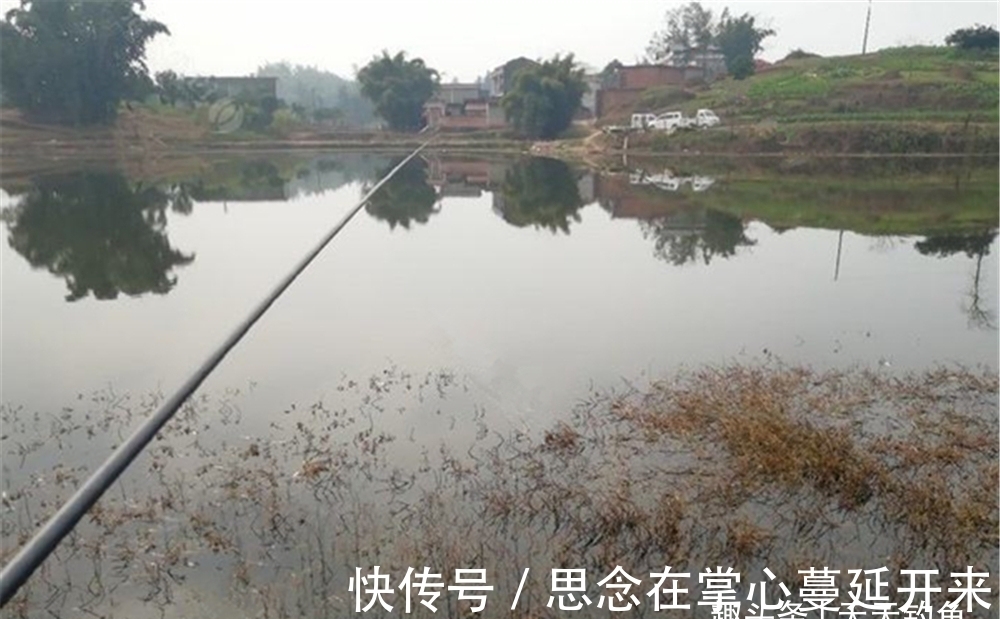 冬季钓鱼，技巧只有1个，一半在于聚鱼进窝，一半在于诱鱼咬钩！