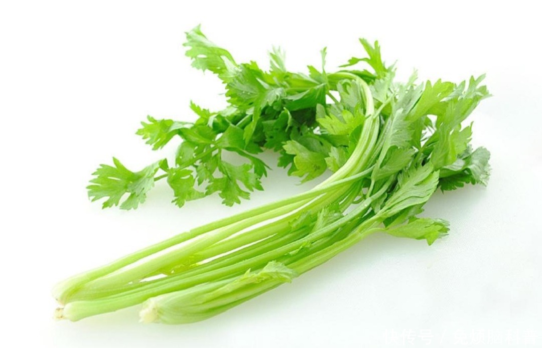 康复|常吃这一食物,对脑血栓患者的康复很有帮助,您知道吗