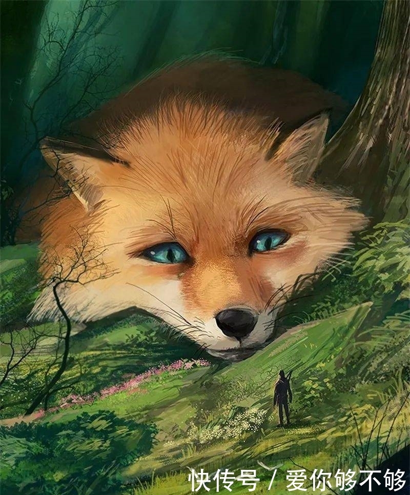 插画|三组各具特色的动物插画,看完很治愈~