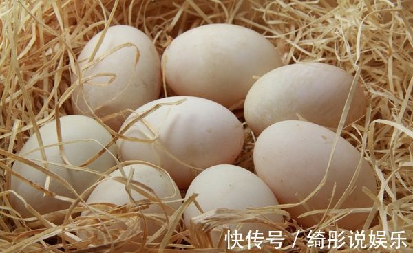 好处|早上空腹食用一个煮鸡蛋,有三大好处,女人要多吃,早知早受益