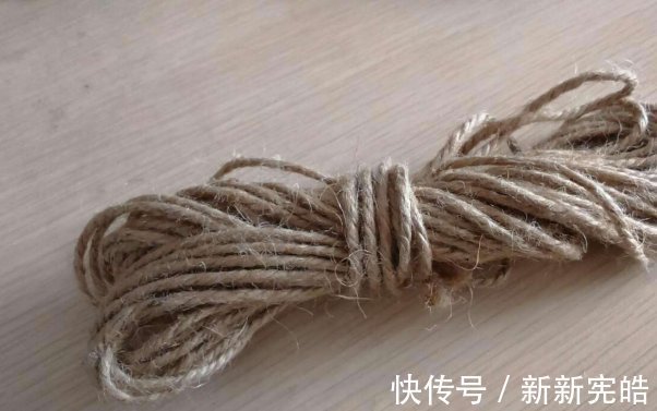 红麻|它在以前是麻绳原料首选,如今却被视为高级野菜,现在采摘正当时