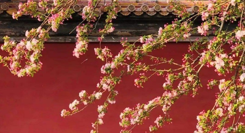 唐诗纪事$史上最狂的一首唐诗,出自一位女子之手,李白都难以望其项背