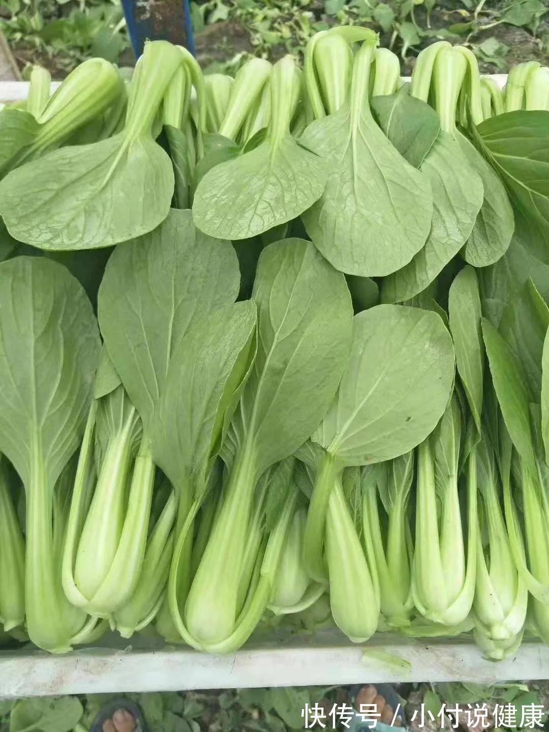 腊肉|冬补三九,不管有钱没钱,8种碱性食物要记得吃,滋补营养还应季