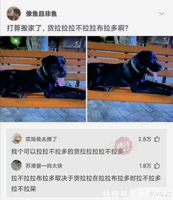 |沙雕段子一个穷得不知所措，一个富得理直气壮