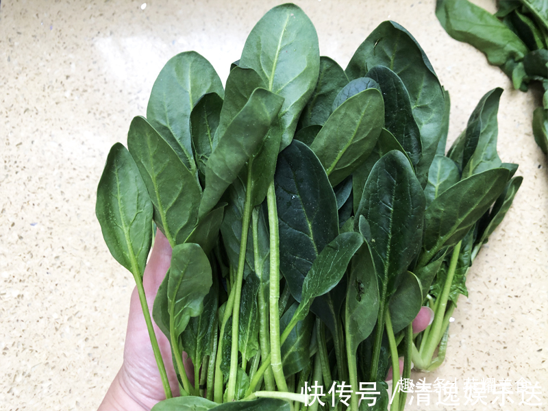 买菠菜时，选“长”还是选“短”的牢记“3不买”，别随便买了