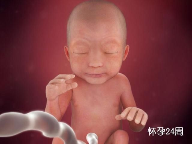 准爸爸|组图了解胎儿在子宫中的生长过程,生命太奇妙了!准爸妈们看看