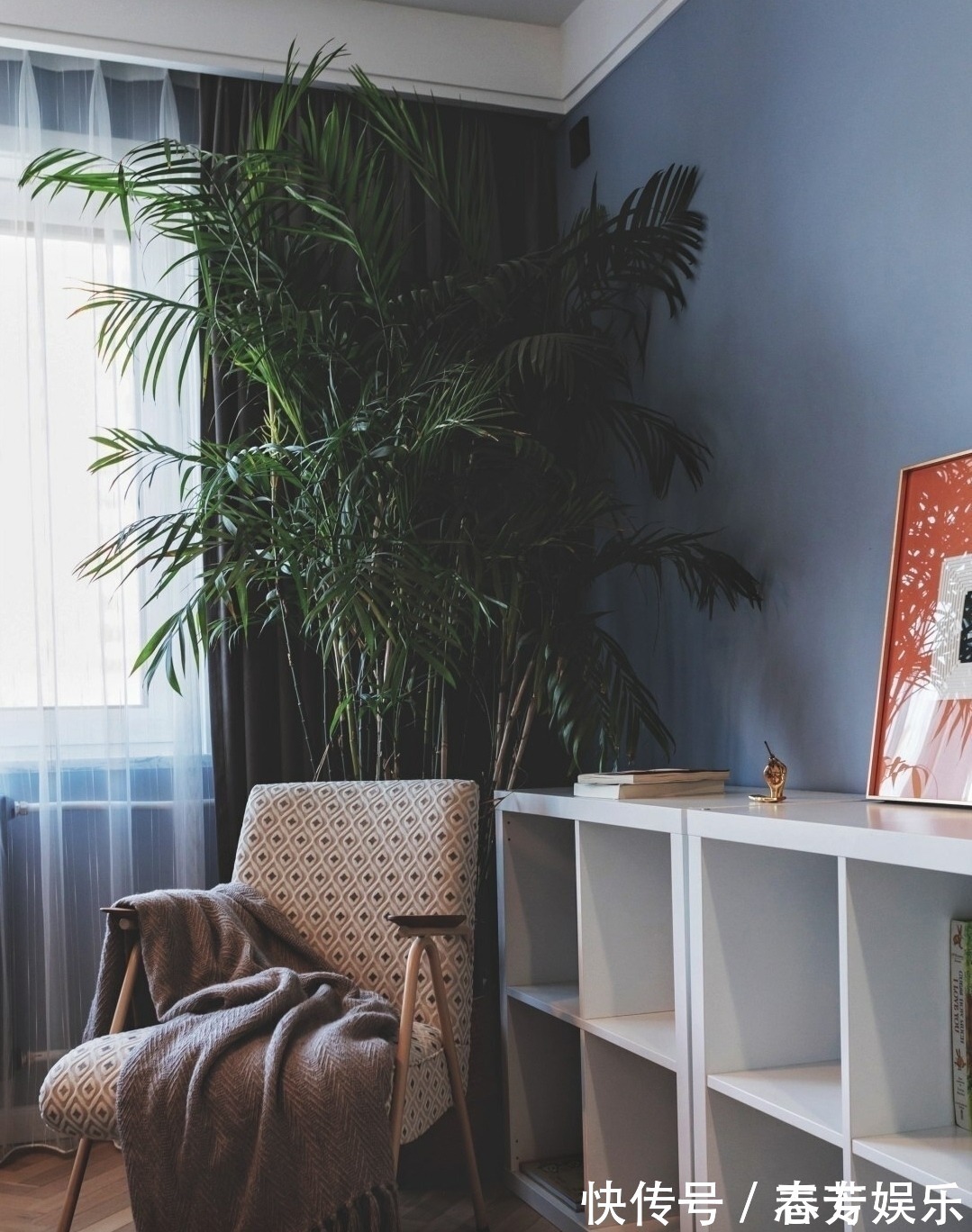 阳台上|独居女孩的精致生活:阳台装浴缸、卧室衣帽间,36平小家样样不少