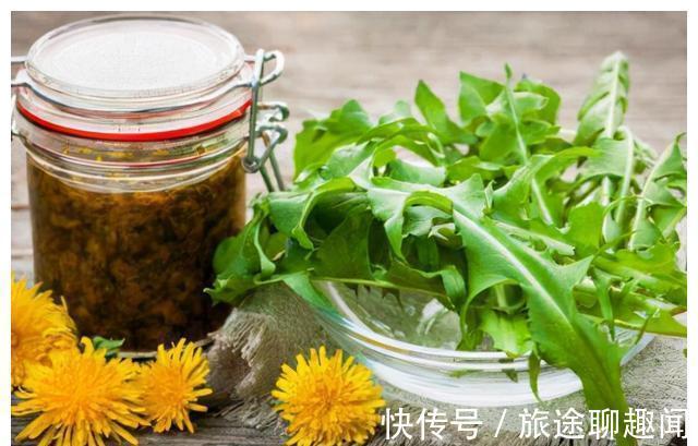 蒲公英|中药又立功?蒲公英可杀死98%癌细胞、消结节?真相是咋样的?