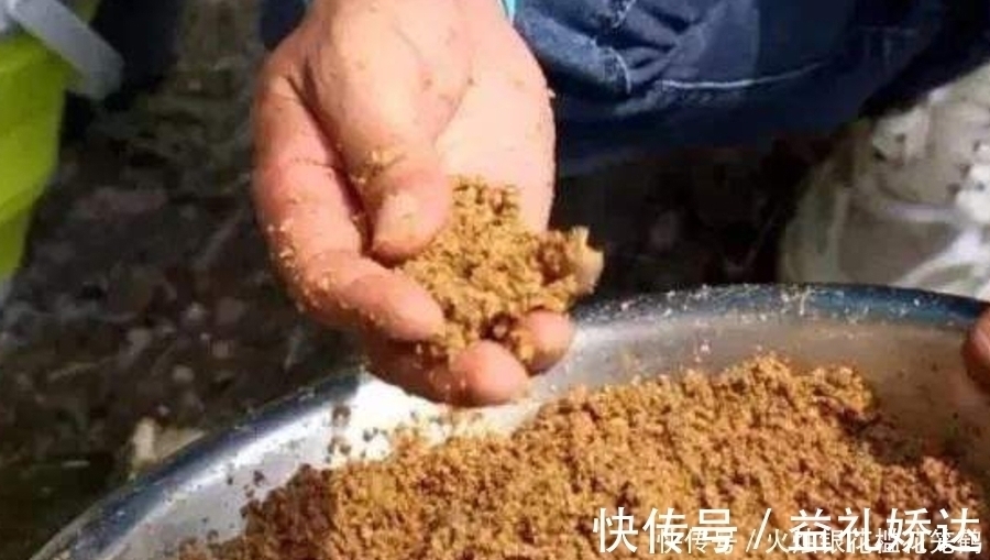 诱鱼|钓了三十年鱼，如今才公布：这诱鱼“八字诀”简单又实用，莫忽视