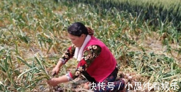 亵渎|农村大妈模仿画家作画，200元一幅受网友追捧，专家：亵渎艺术