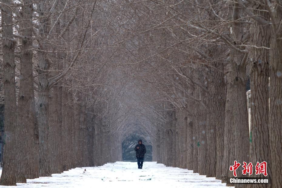 降雪|雪中的北京天安门广场