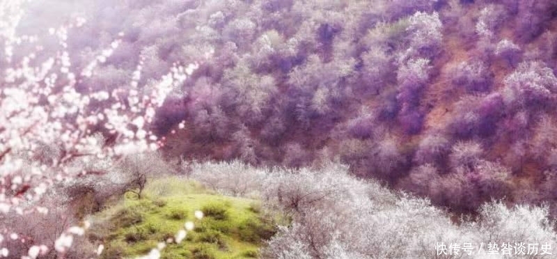 文人|刘禹锡被贬外遭到排挤,还搬了好几次家,于是写下一篇很狂的文章