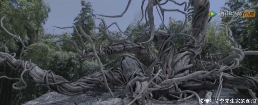 斗罗大陆剧版：阿银留下的三样东西，使唐三妥妥地超越了其他同辈