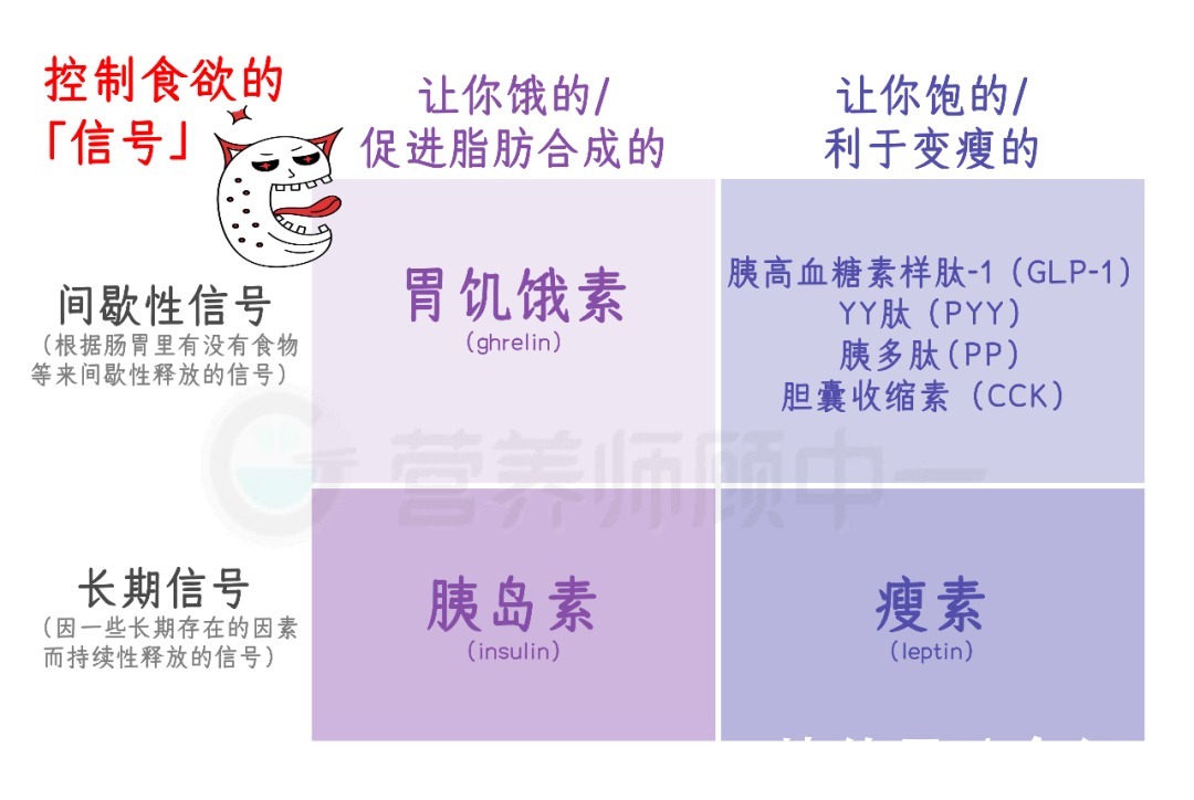 剧烈运动|运动能让人「厌食」,是真的!只不过……