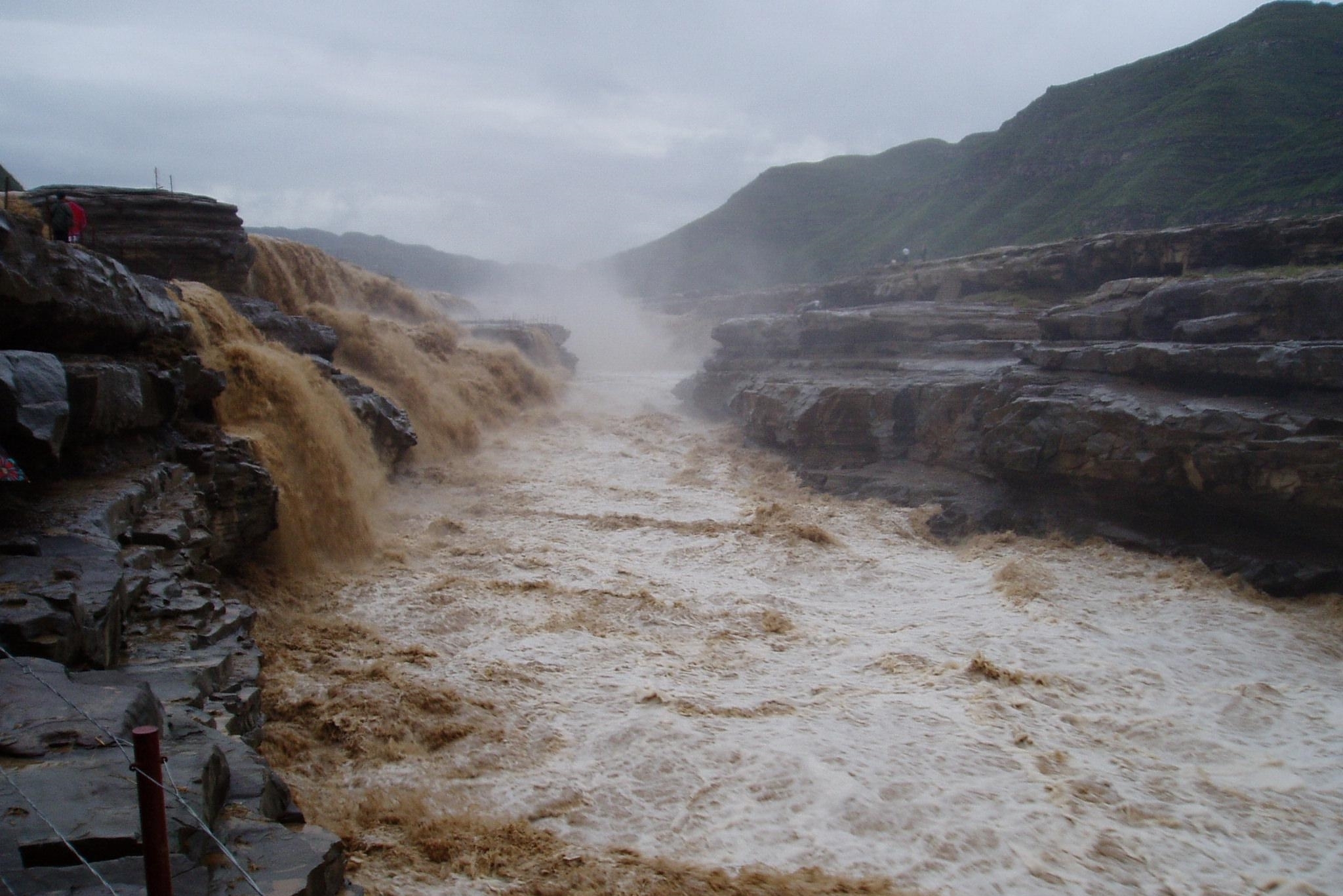 黄河鱼的秘密:跃龙门的不是鲤鱼,是谁?谁当了数百年的宫廷鱼?