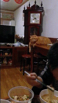 |搞笑GIF趣图：媳妇这是揭你的老底呀，一点都不给你面子