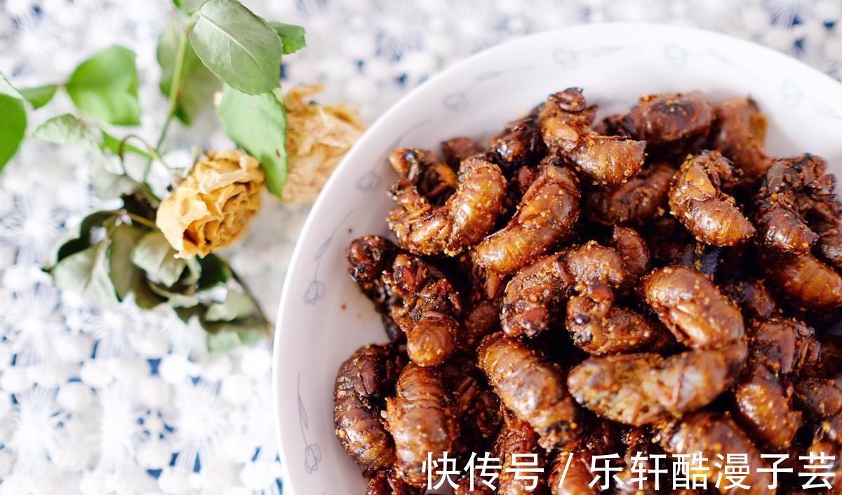 脱壳|天变冷之前,树上这个美味赶紧吃,高蛋白,错过了还要再等明年