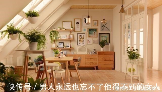 花木|家里有没有甲醛,以下变化要留心,一经发现需立即除醛!