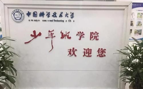 懒得|狂言“懒得考清华北大”的16岁女孩，最终成绩是多少分？