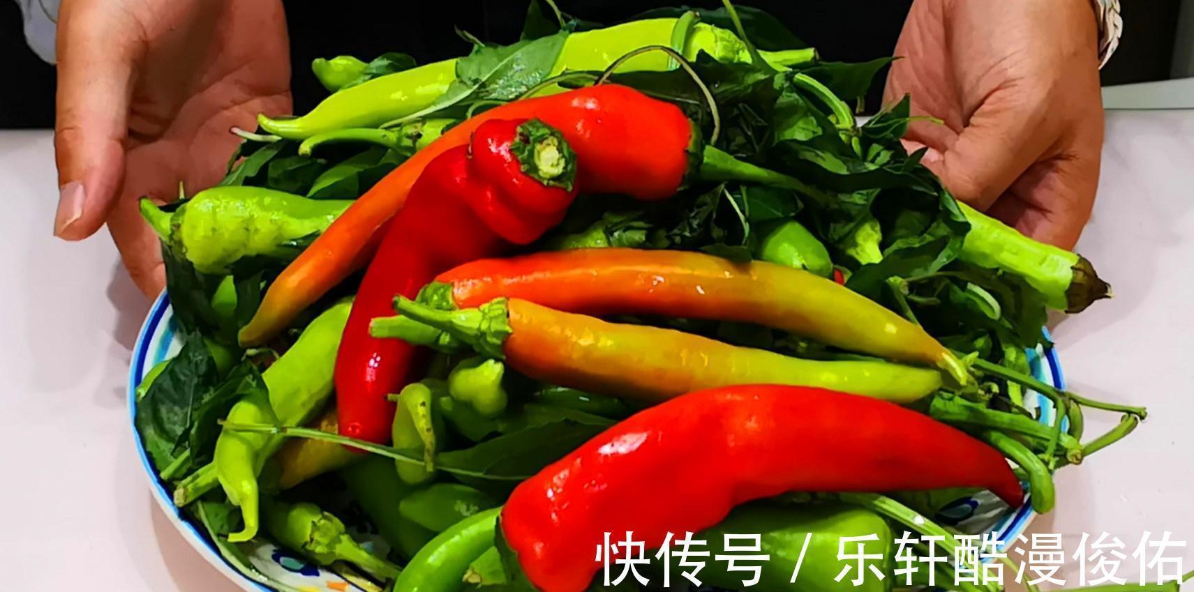 腌辣椒时，不要先加盐，教你1招，辣椒不生花不易坏又入味，真香
