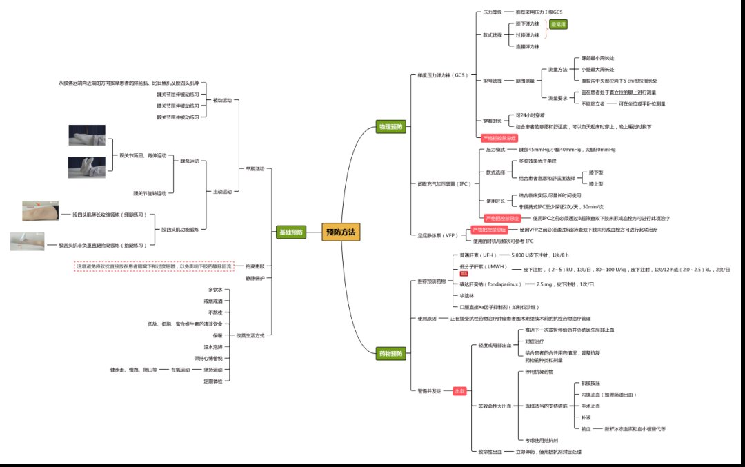 思维导图|巧用思维导图，轻松get血栓知识