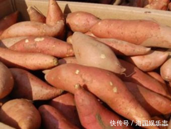红薯容易放坏该怎么保存,老农教你3个方法,简单又实用
