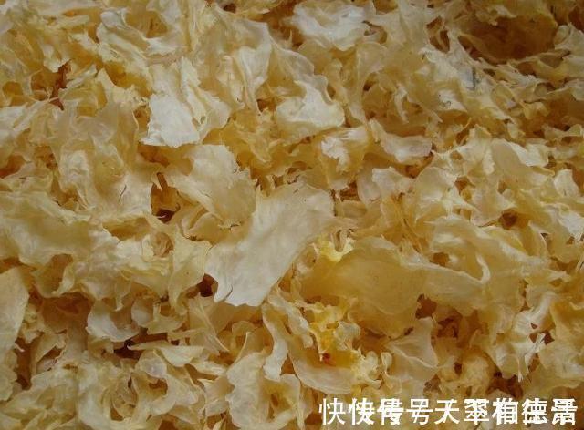 怀孕期间|女人怀孕期间,尽量多吃4种“零嘴”,补充孕酮对胎儿发育有益处