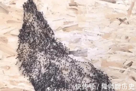 钉子|美术生又出来作妖了,同样的钉子,她玩出了花样!网友:秀儿你好