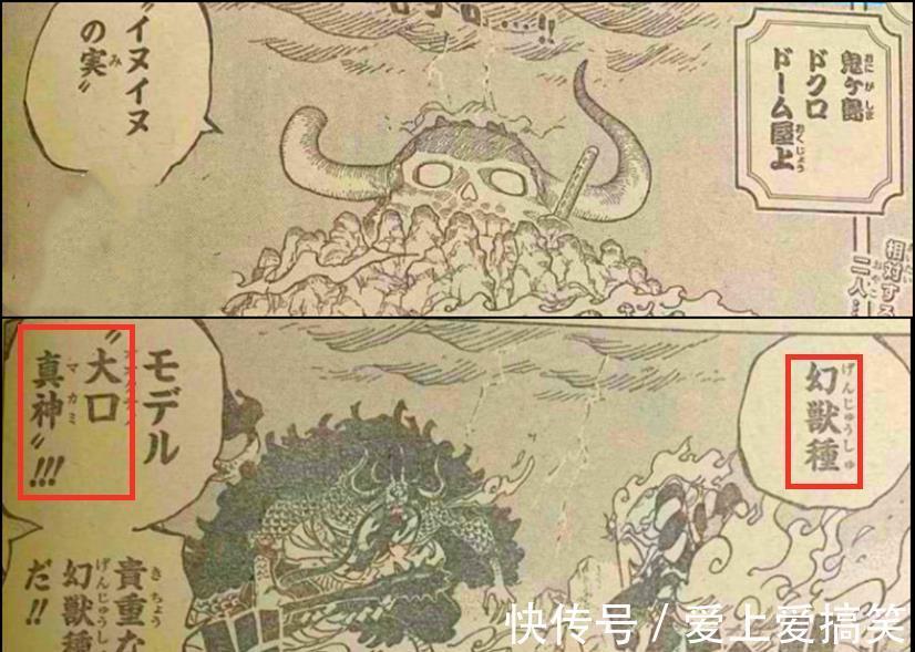 九侠|海贼王1020话,无侍冰牙vs热息,大和正面刚凯多,实锤大将级实力
